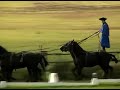 Things to Do In Budapest, Hungary : Horse riding in Budapest, Hungary