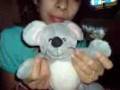 videos de un raton