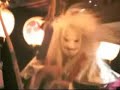 Japan Shrine Festival