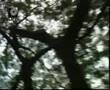 Spider-Kasih-Latifah