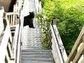 Butt Scratchin' Bear