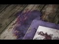 Click here to watch this video Spirit Camera Launch Trailer