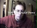 Cat Stevens
