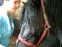 A kiss for the best!!!