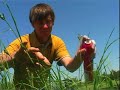 Naturbruk.se - Greenkeeper: hur sköter man en golfbana!?!