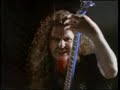 salute to dimebag