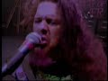 salute to dimebag