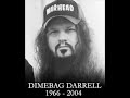 salute to dimebag