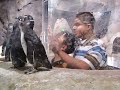 Penguin Sacktap