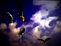2008EUROX Re-Union PV ver:1.00