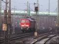 Train spotting at Hamburg-Wilhelmsburg: Ludmilla BR232 Metronom BR146 HGK class 66 185 ITL E186