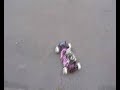 RC Car - First drift