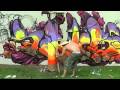 IRONLAK TEAM - Champion wall, Sunshine Coast
