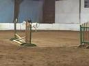 Marg riding Jelly Roll over cross-rails
