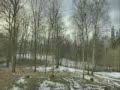 1 Year in 40 Seconds