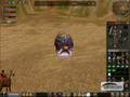 videos de xXSPAWNXx Kom1sch Lvl. 63 legt Schidkröte in der Wüste von Metin2