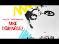 Mike Dominguez AFA King Of Skateparks 1985