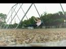 bee-vees-most-massive-vid-yet.html