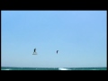 Trailer :: KITESURF TARIFA PKRA 2007 ::