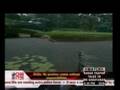 Trevor Immelman wins Nedbank Golf Challenge 2008