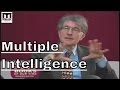 What is multiple intelligence theory?