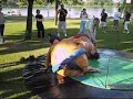 sumo by szynka vs mariff
