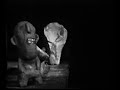 le clip de t�tes raides: viens!