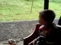 dudley zoo castle train