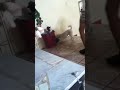 Click here to watch this video Nala jugando con la pelota echando cabecita