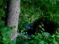 Alburn, NH fish trip