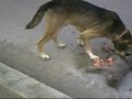 YouTubeサムネイル[KEOhiMGjdCg] - 1枚目