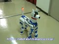 Japanese Dog Robot