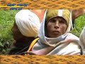 tewahedo.org