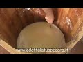 Adottare una pecora si puņ! Adottare una pecora si puņ!