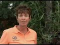 Osmocote Gardening Tip 7 Disease Control