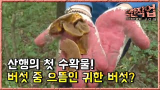 극한직업 - Extreme J