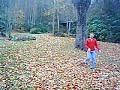 john remembering what it was like to swing from the trees as a boy... his legs dangling makes me laugh... he fell but i didn't get that video - sorry