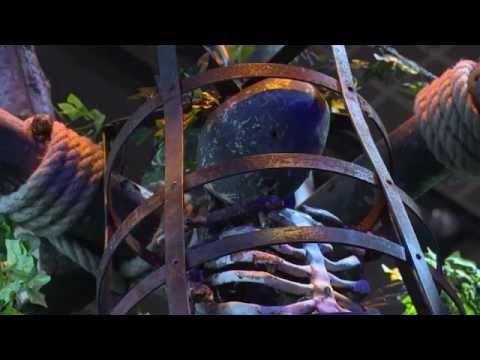 Vidéo 1