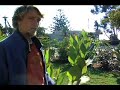 Edible Landscaping with Loren Luyendyk Edible Landscaping with Loren Luyendyk