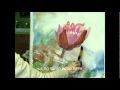IMPRESSIONISTIC WATERLILIES BY MILLIE GIFT SMITH