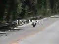 Fuckin Off Fuckin Off