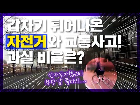 해석 블랙박스 #1 - 자동차와 자전거 교통사고, 차량 운전자의 과실은???