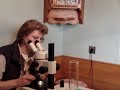 MOV00137.MPG