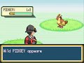Shiny Gold X: Violet Gym Trainers