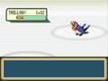 Shiny Gold X: Violet Gym Trainers