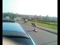 longboardin in weymouth
