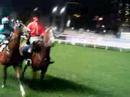 Hong Kong Horse Racing