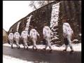 Clone Army in Oberdachstetten