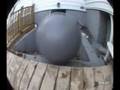 Exercise Ball Ownage