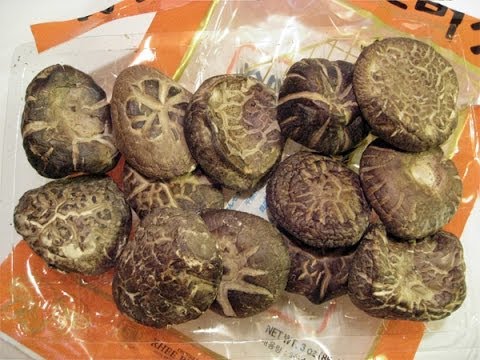 how to grow shiitake mushrooms